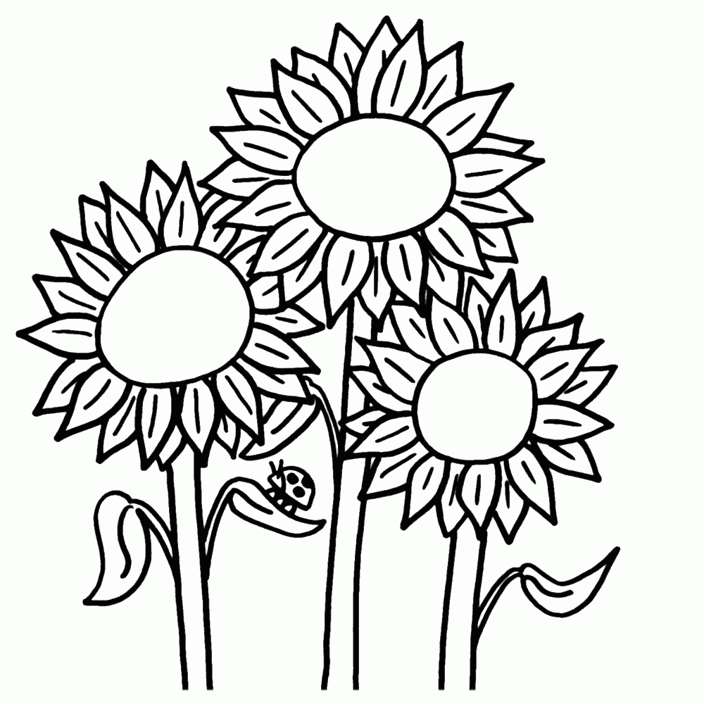 Free Color Book Pages