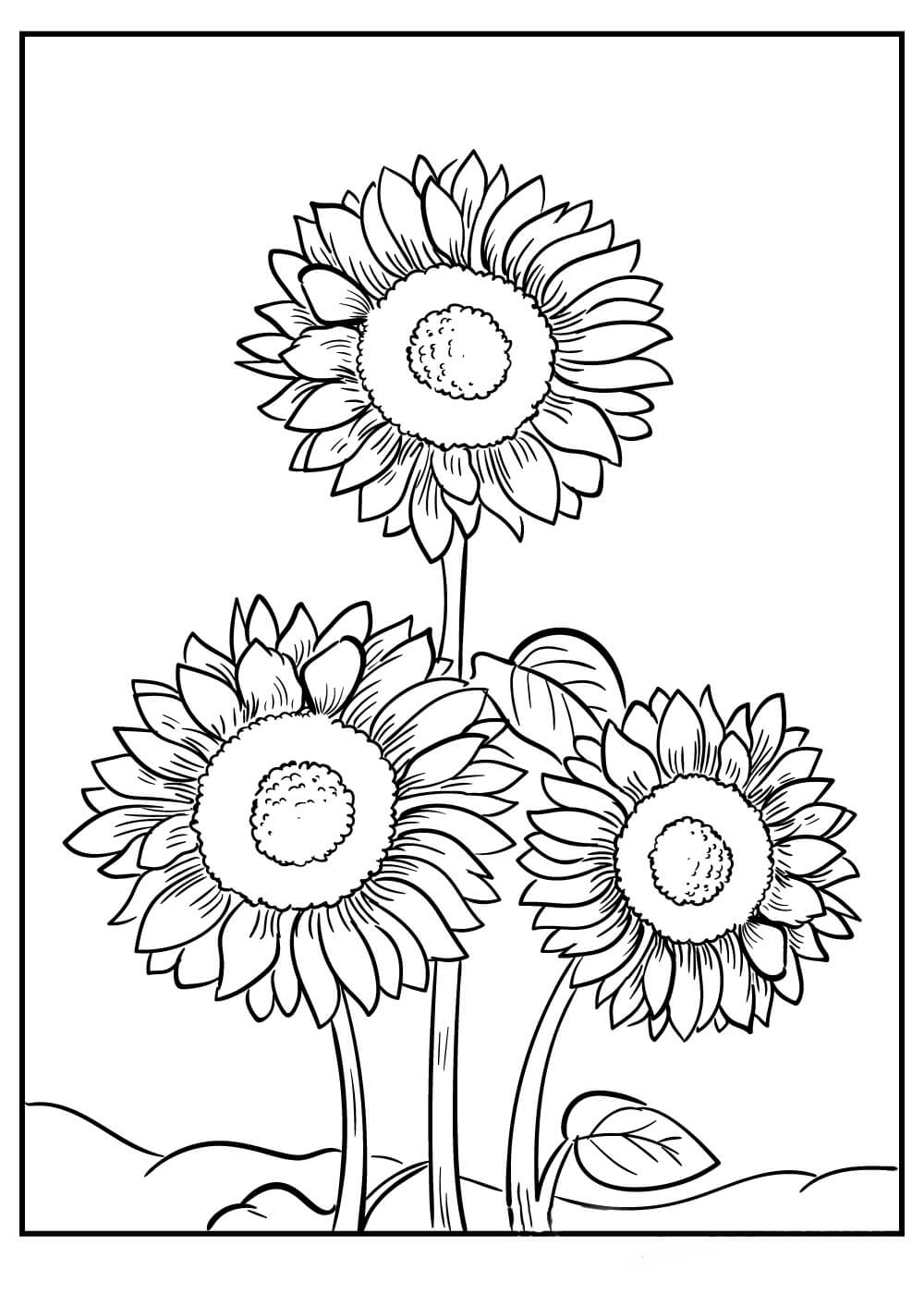 Three Sunflowers Coloring Page Download Print Or Color Online For Free