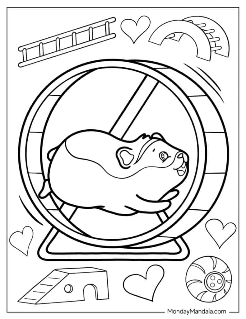 20 Hamster Coloring Pages Free PDF Printables 