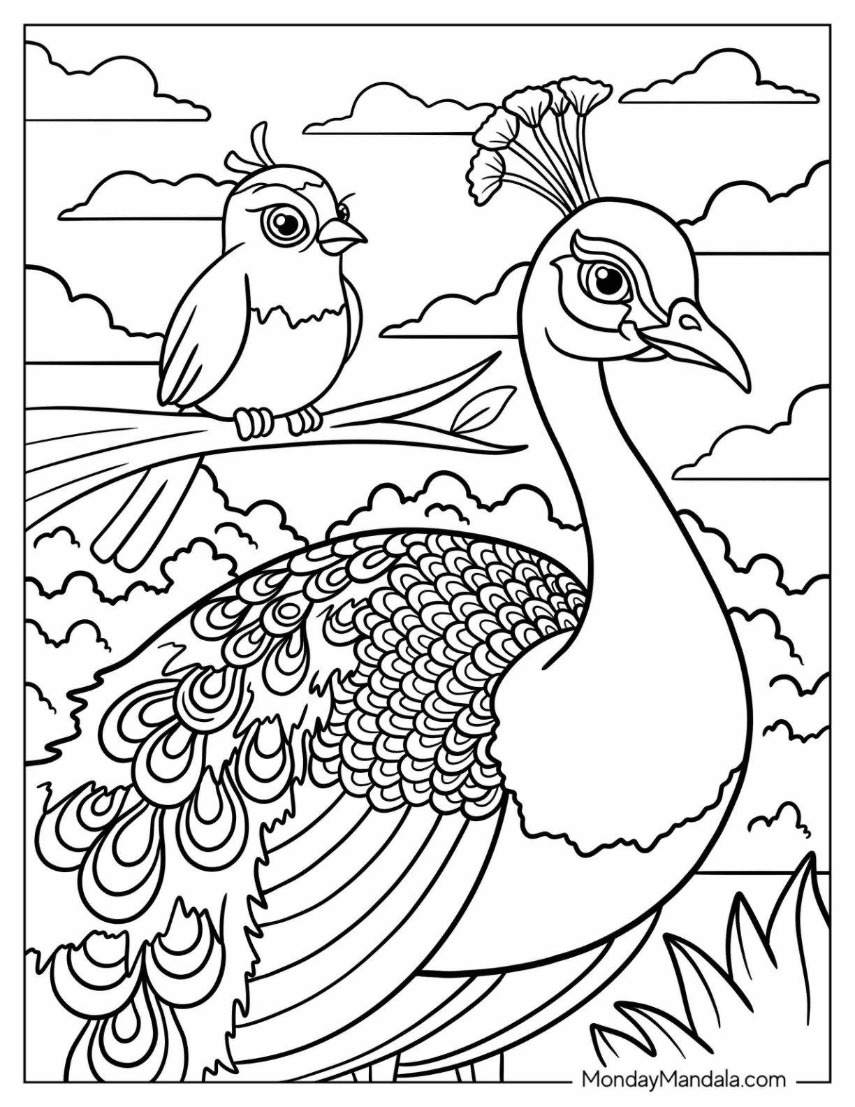 Coloring Pages Peacock Printable