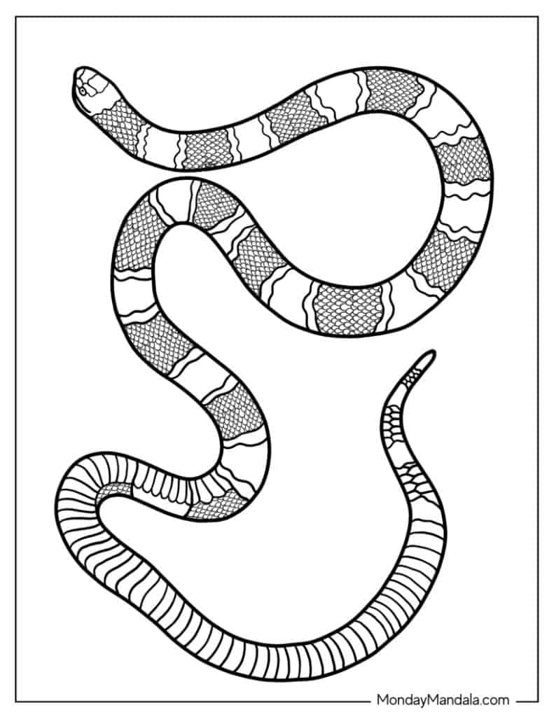 Snake Printable Coloring Pages