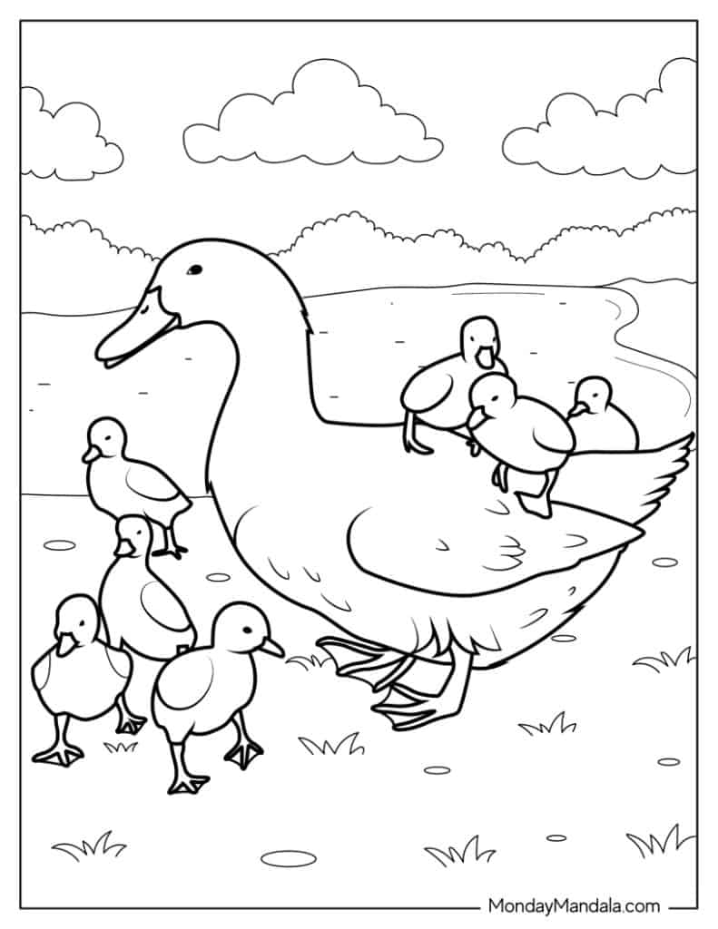 46 Cute Duck Coloring Pages Free PDF Printables 