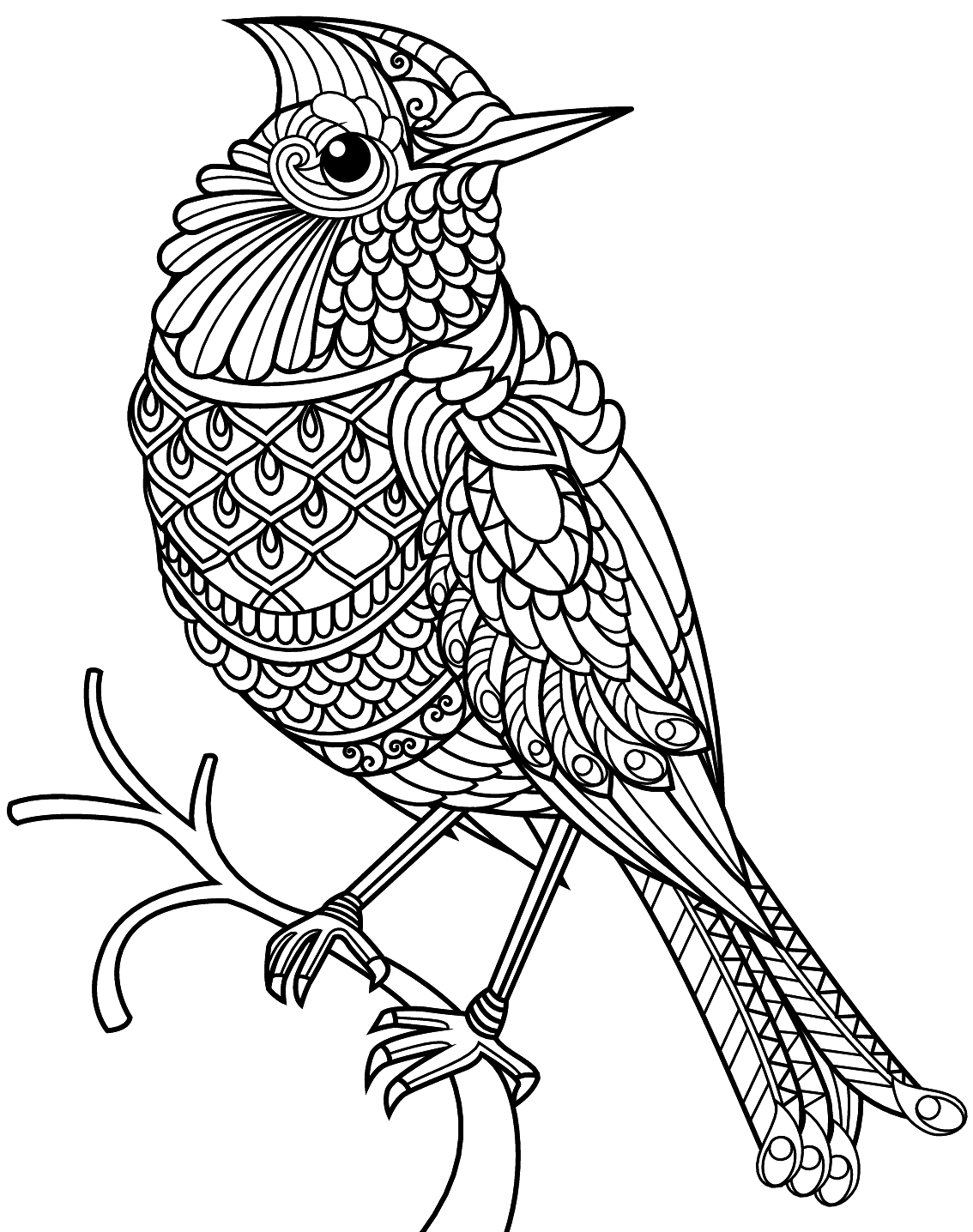 Bird Coloring Pages Printable Coloring Pages FREE