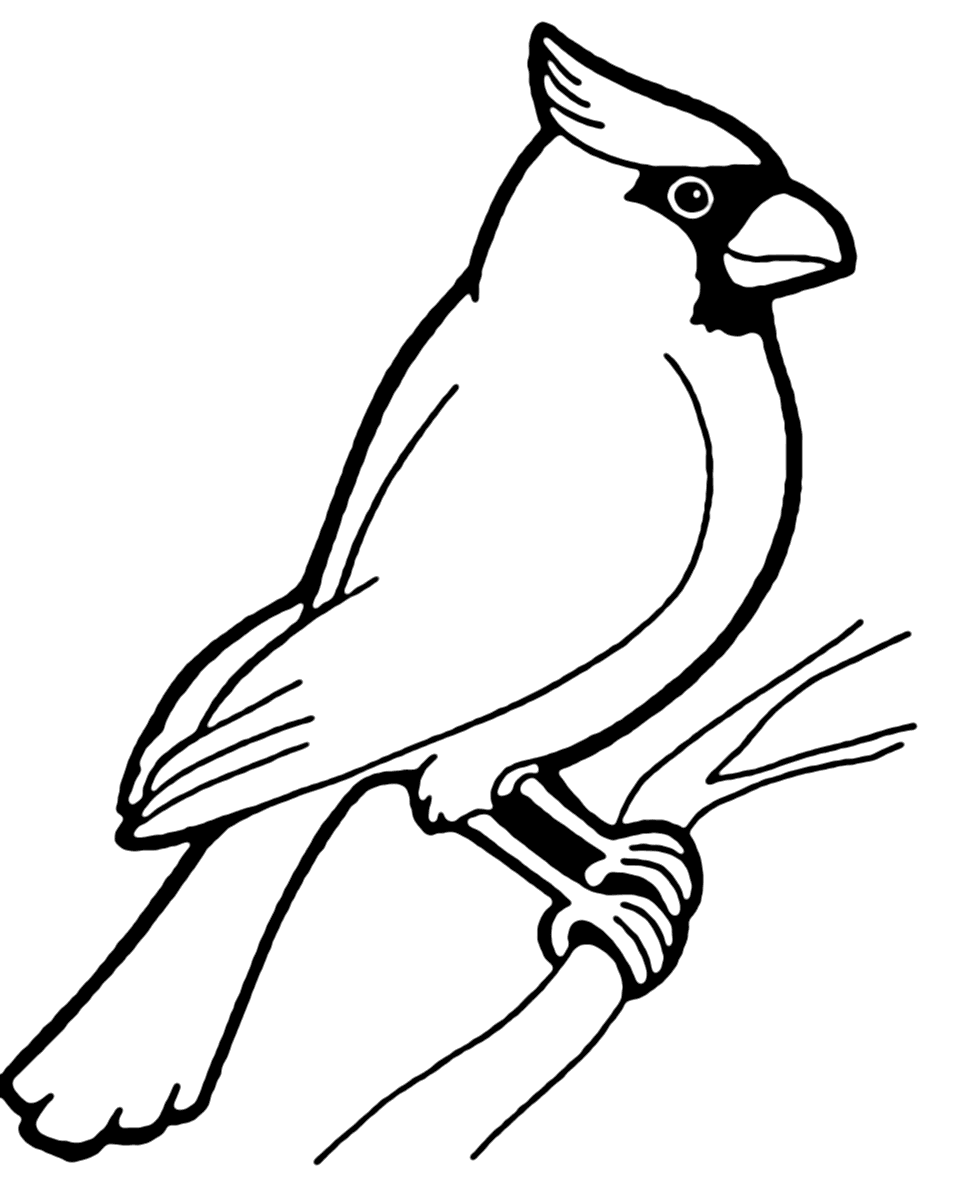 Bird Coloring Pages Printable Coloring Pages FREE