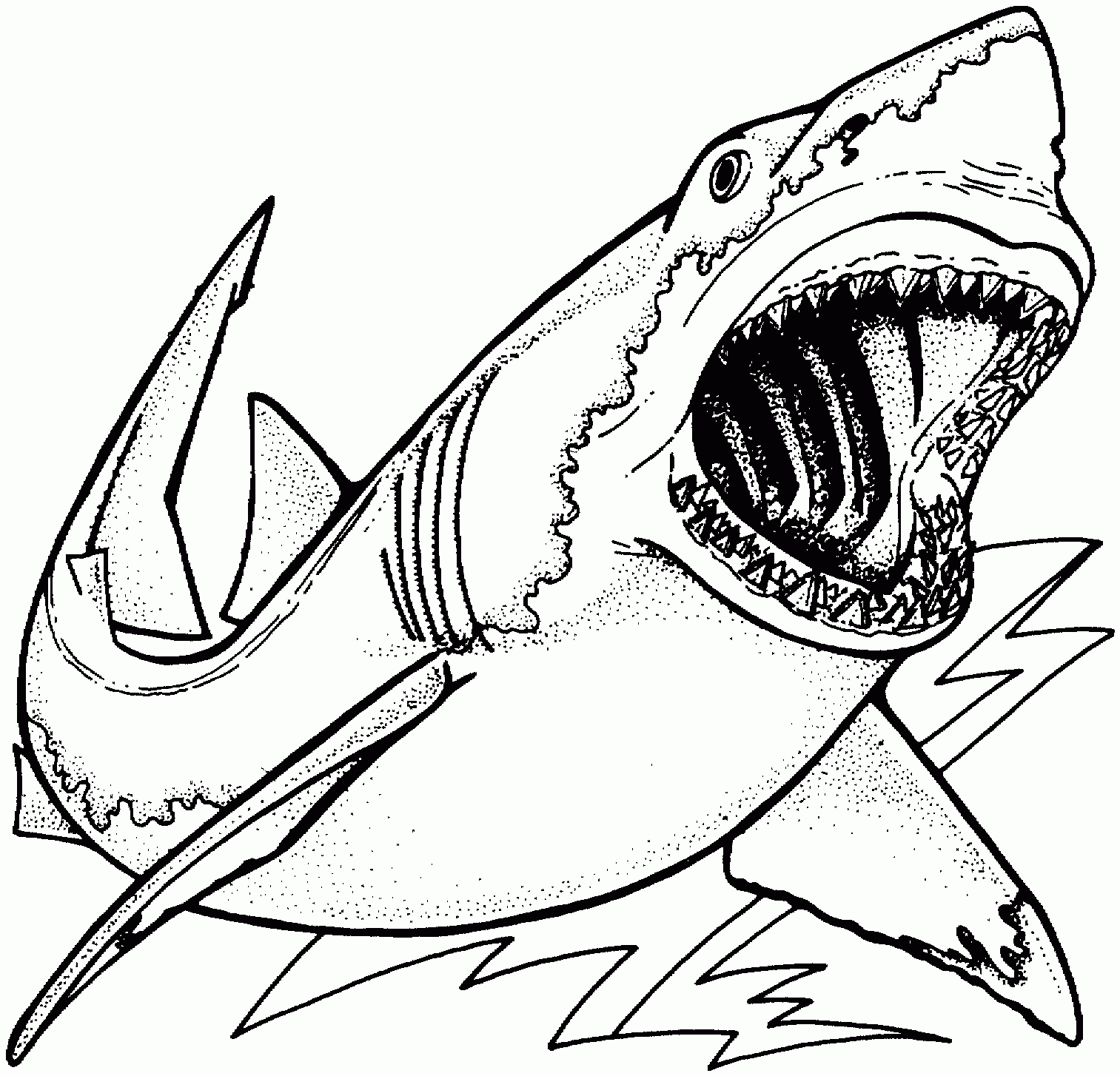 Shark Coloring Pages Printable Pdf