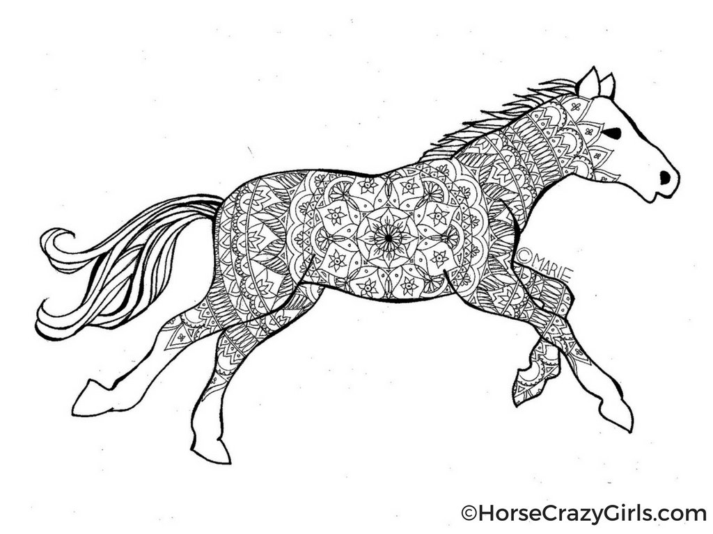 Horse Printable Coloring Page