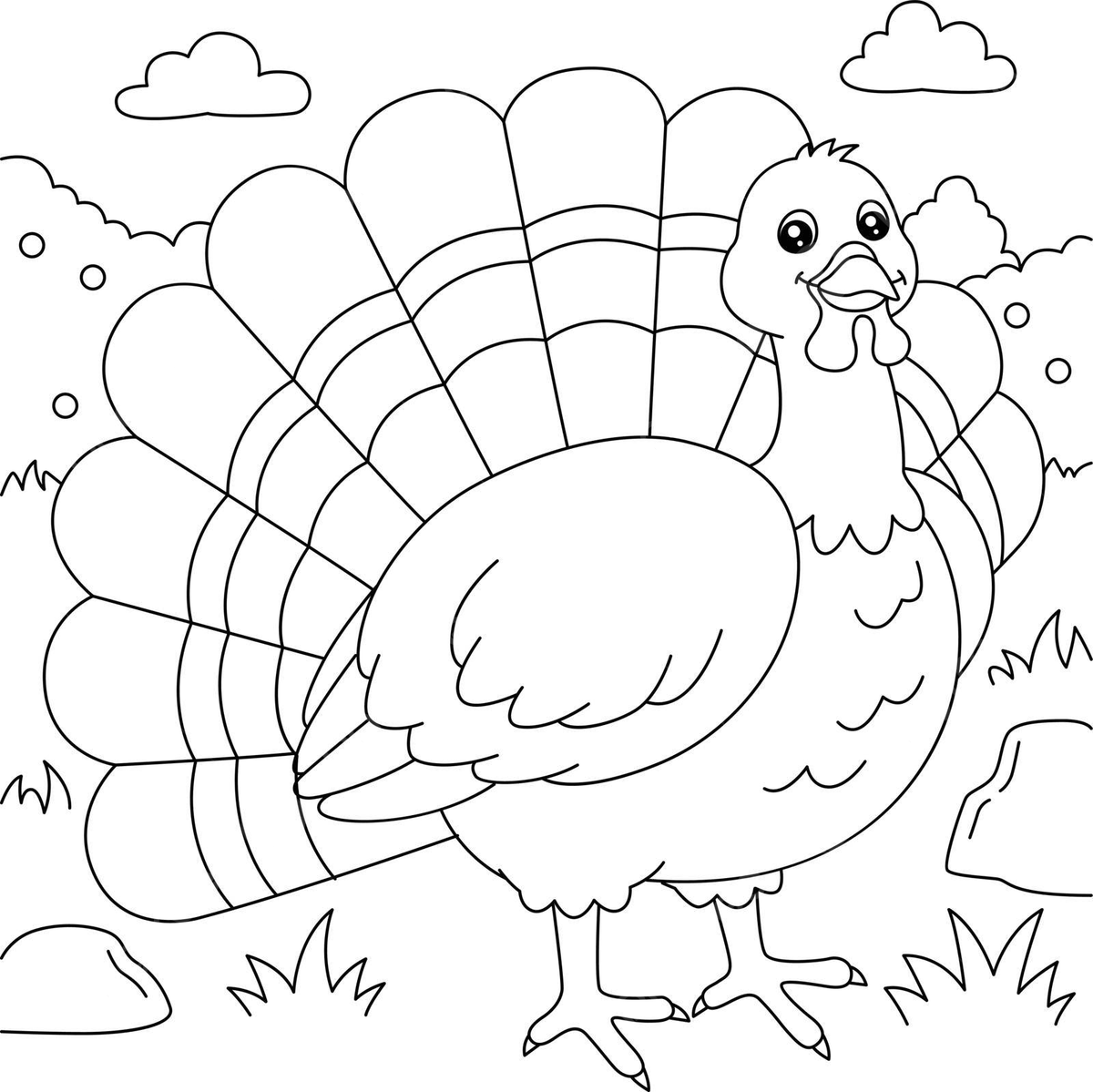 Turkey Drawing Hotsell For Kids