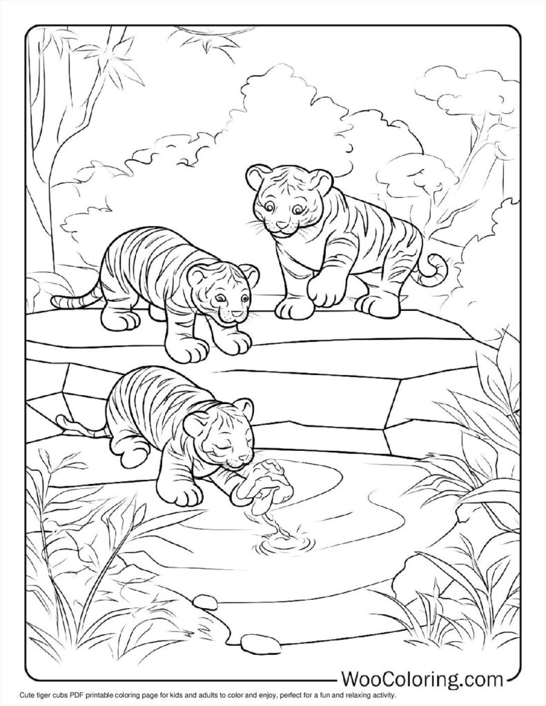 Printable Coloring Pages Tiger