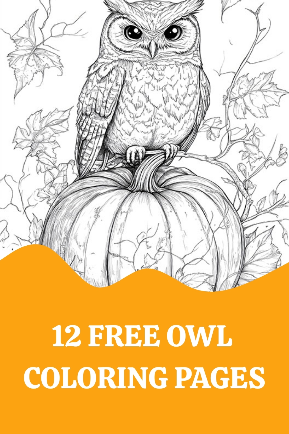 12 Owl Coloring Pages Vintage Style The Graphics Fairy