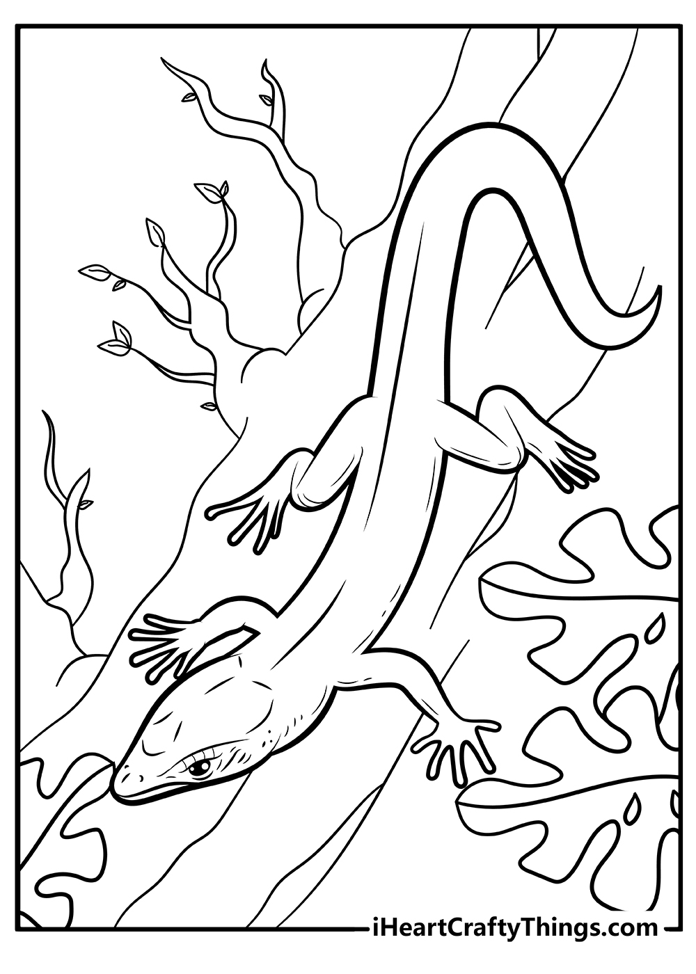 Lizard Printable Coloring Pages
