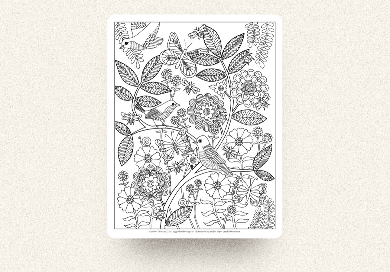 20 Best Procreate Coloring Pages