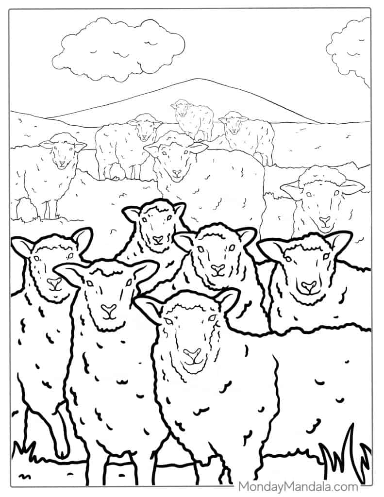 24 Sheep Coloring Pages Free PDF Printables 