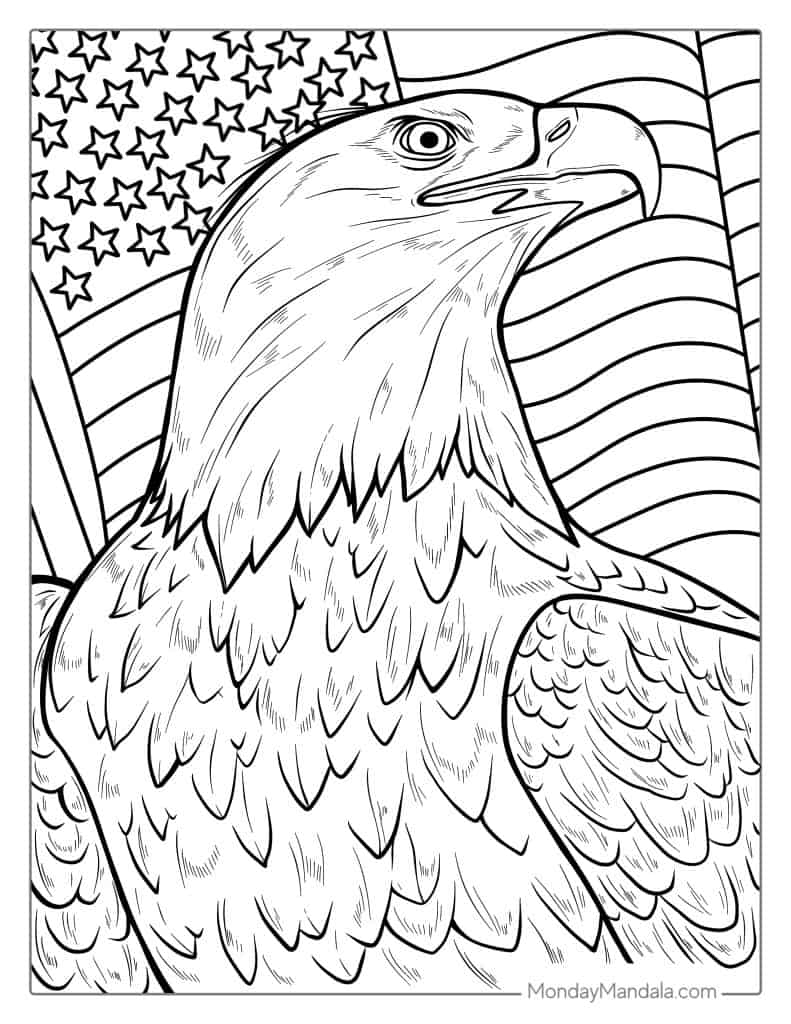 30 Bald Eagle Coloring Pages Free PDF Printables 