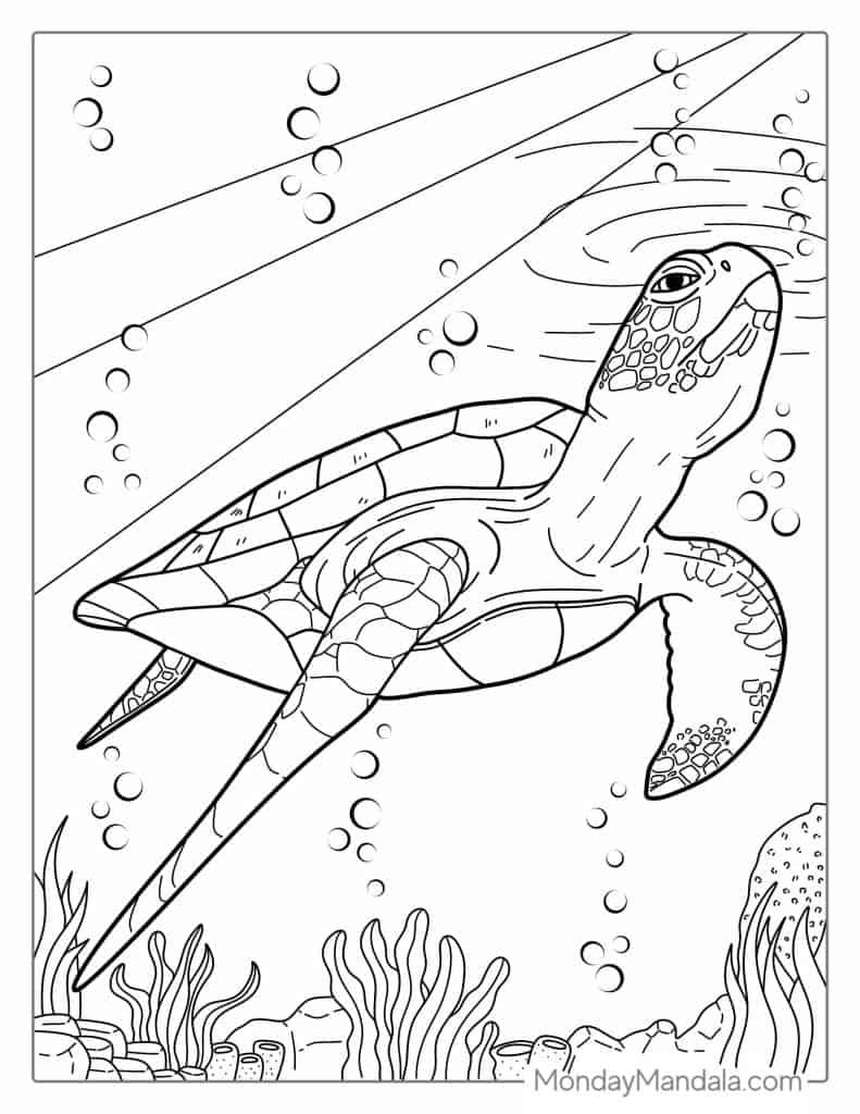 Sea Turtle Printable Coloring Pages
