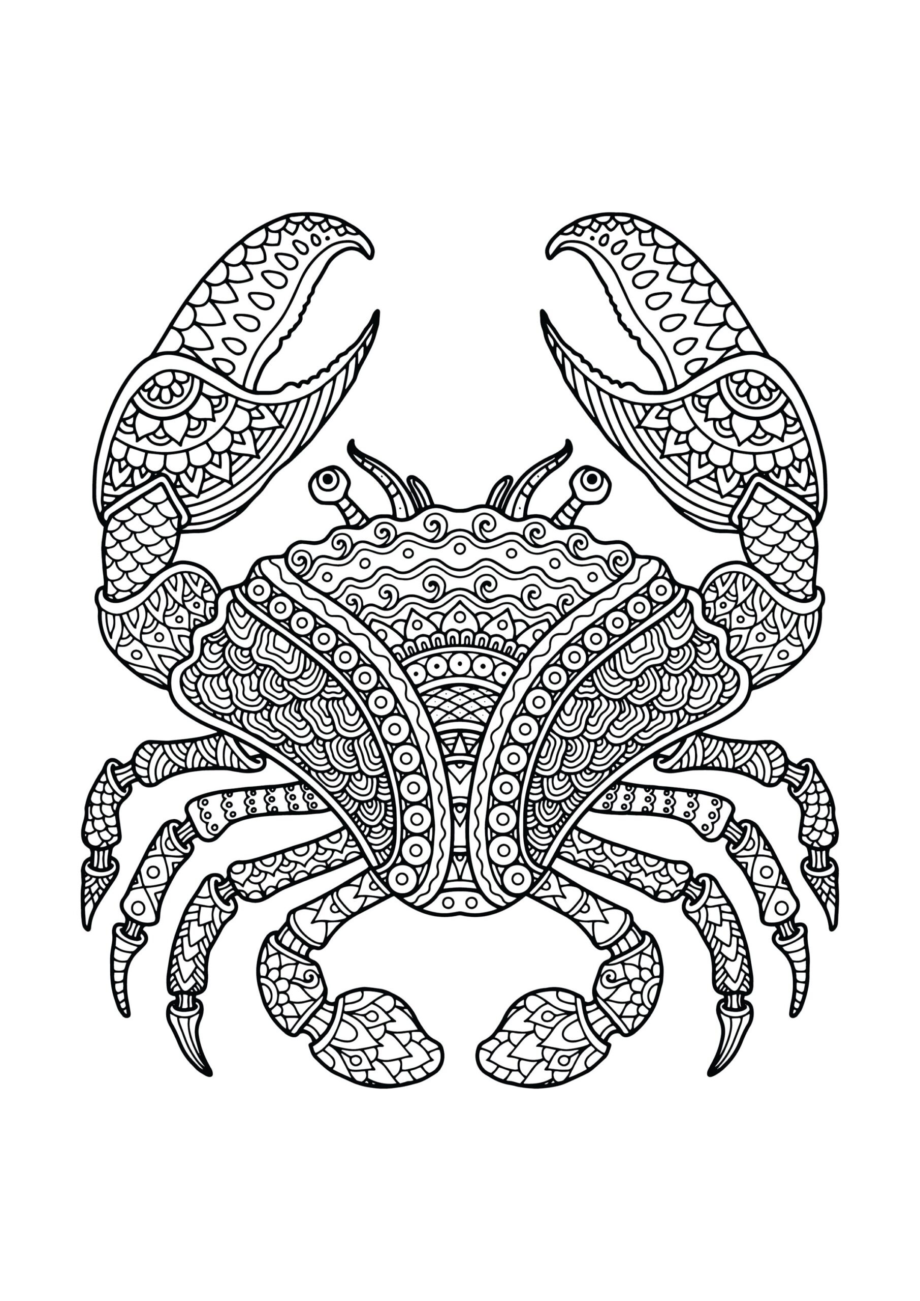 Printable Coloring Pages For Adults Animals
