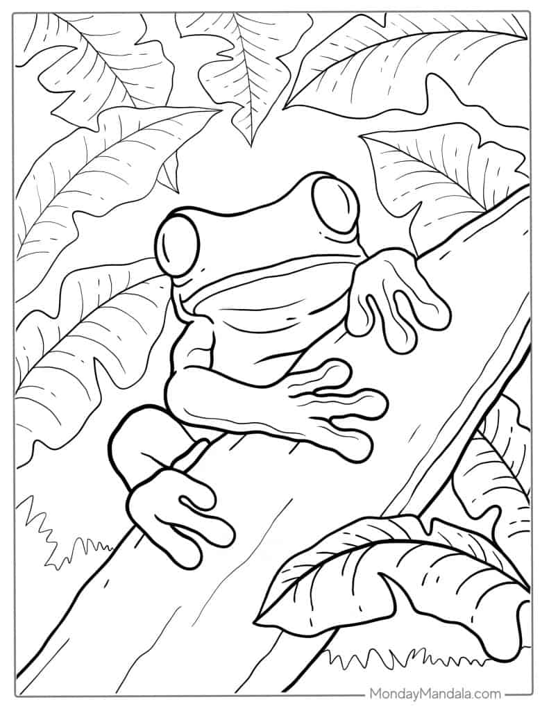 Printable Coloring Pages Frogs