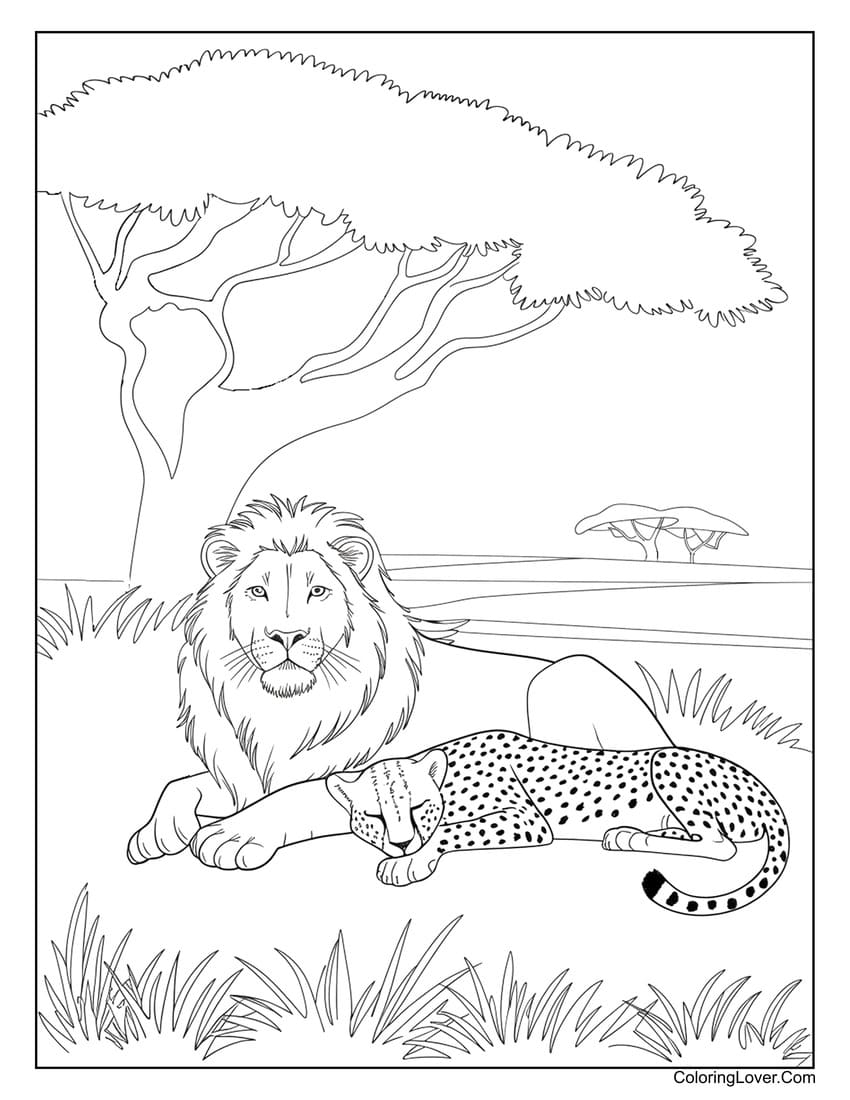 Printable Coloring Pages Lion