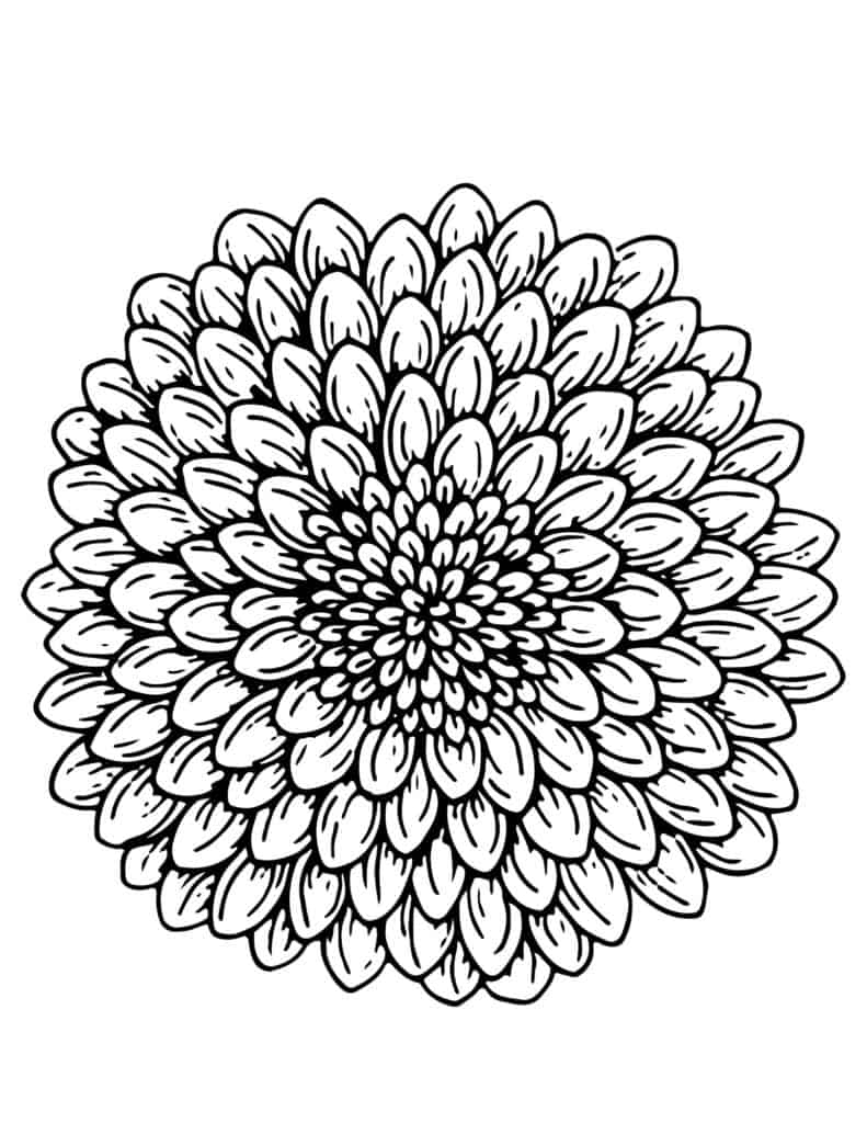 Adult Coloring Pages Flowers Free Printables Add A Little Adventure