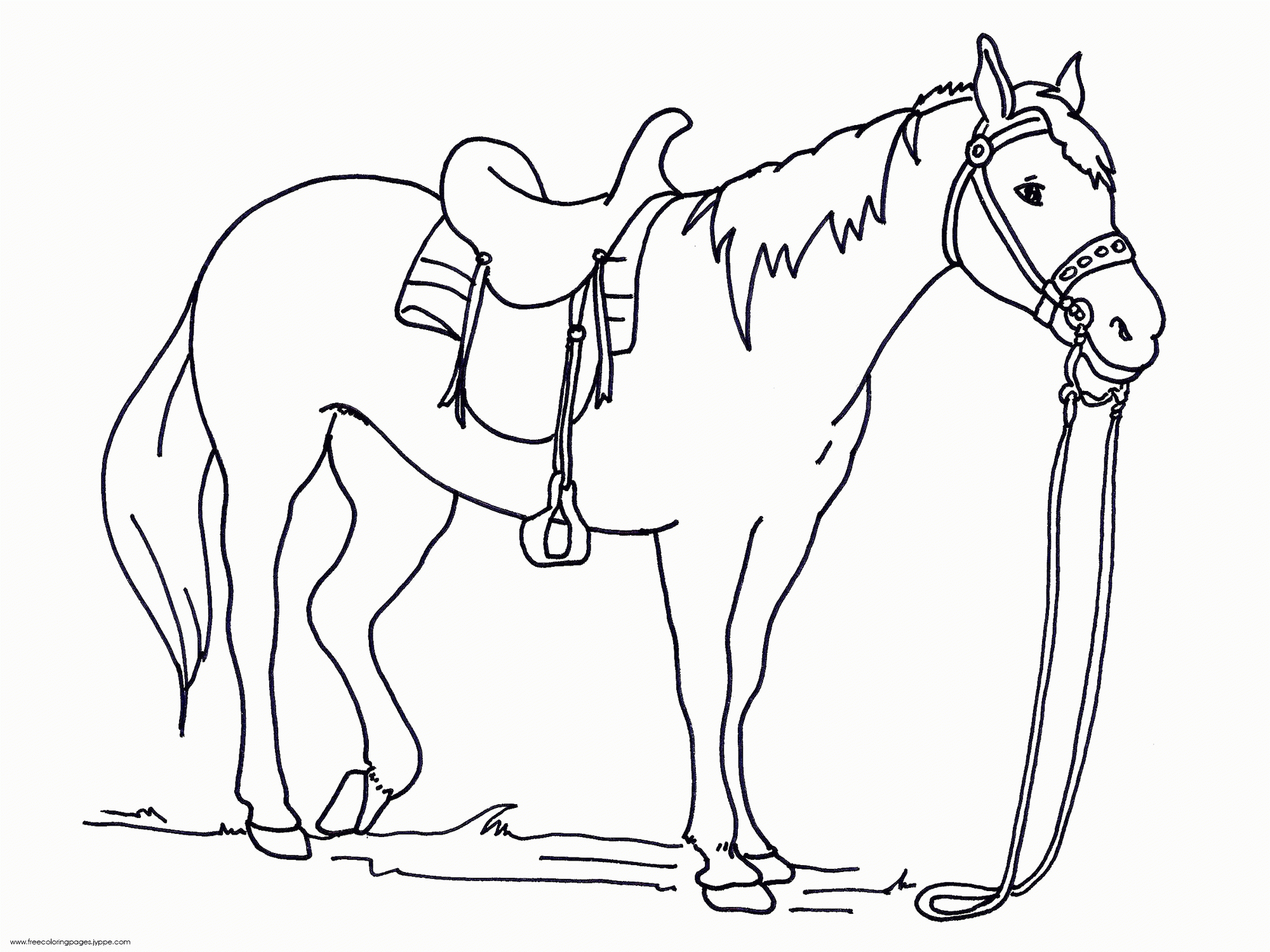 Printable Horse Coloring Pages Free
