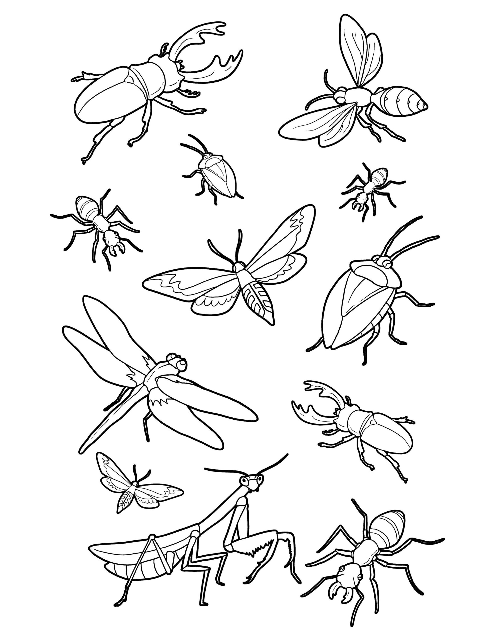 Printable Bug Coloring Pages