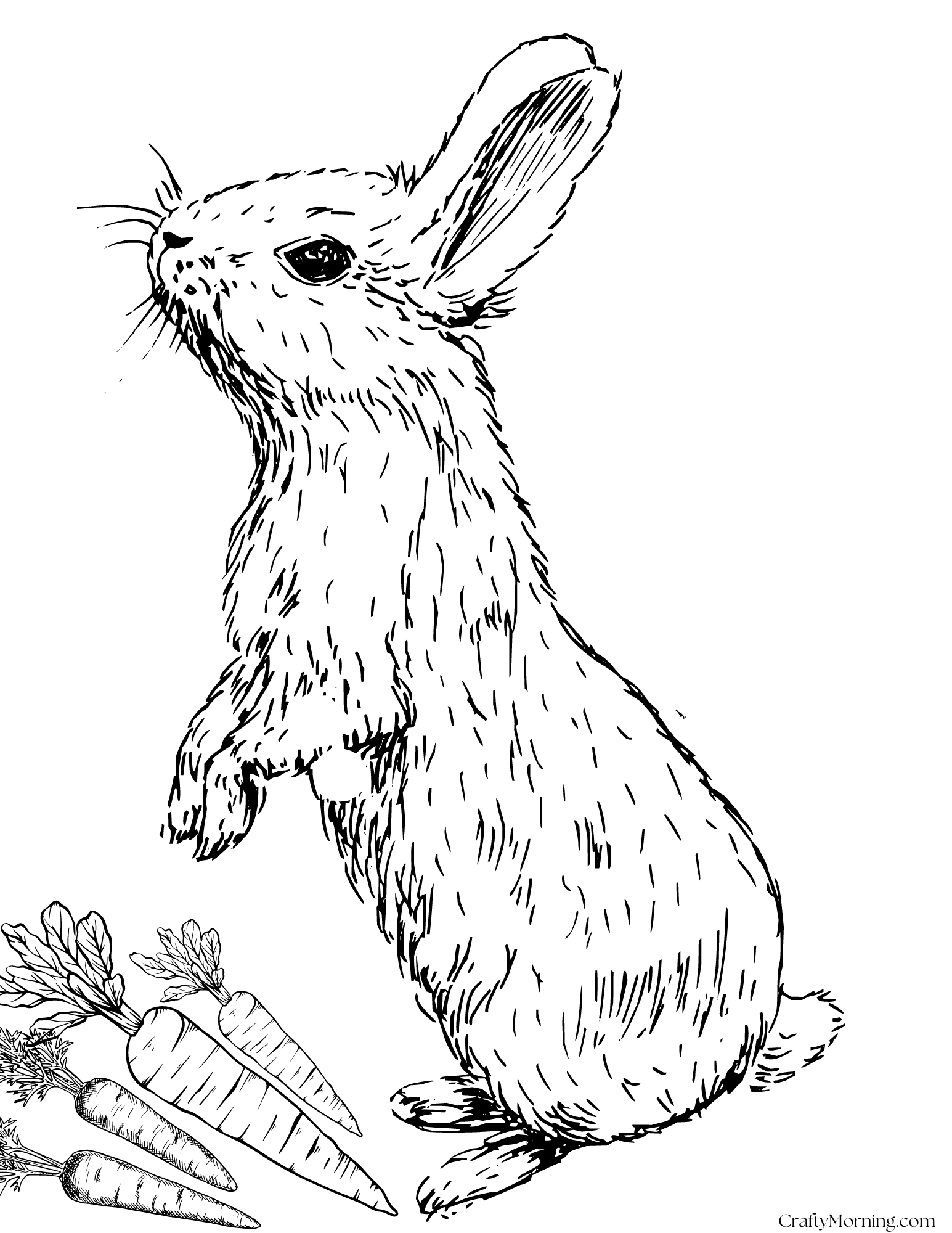 Bunny Coloring Pages To Print Crafty Morning
