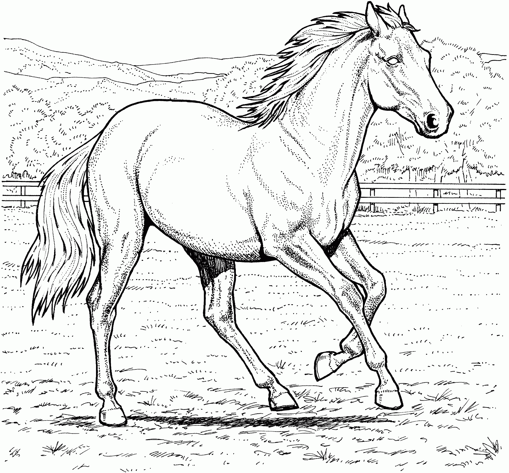 Horse Coloring Pages For Free
