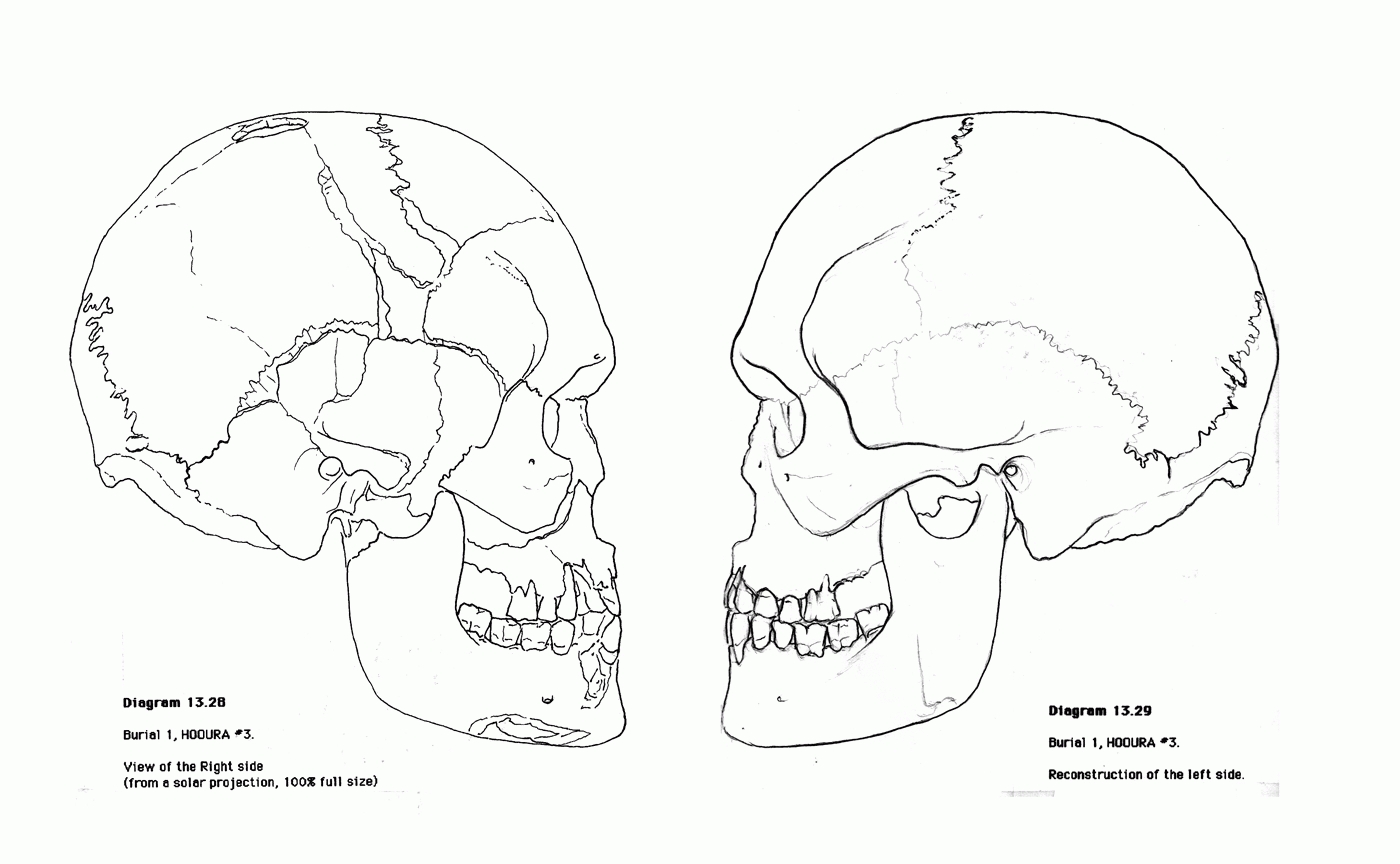 Coloring Pages Anatomy Printable Coloring Pages