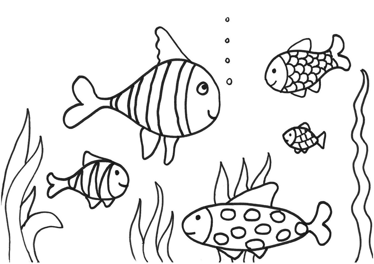 Printable Coloring Pages Fish