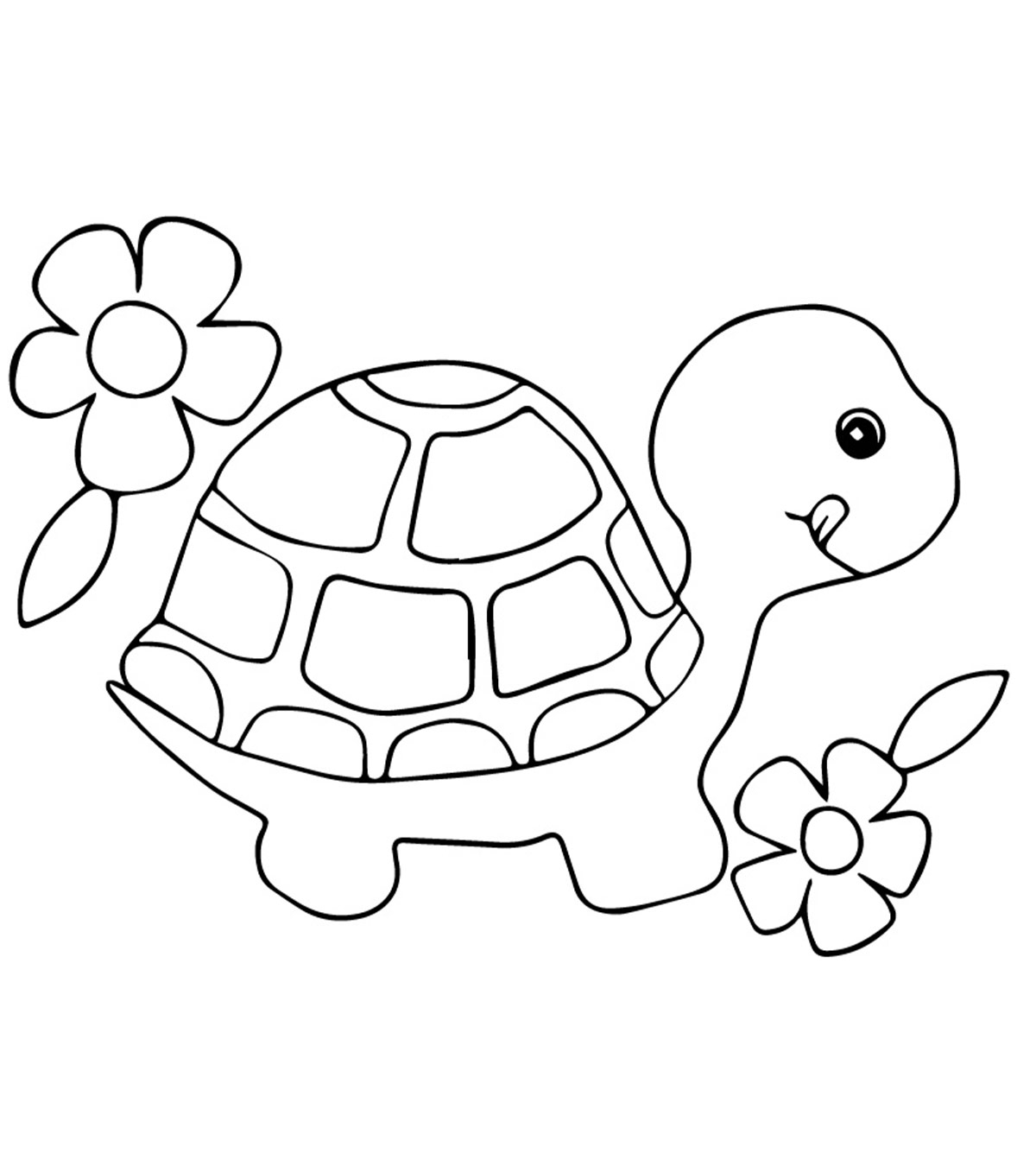Free Printable Turtle Coloring Pages