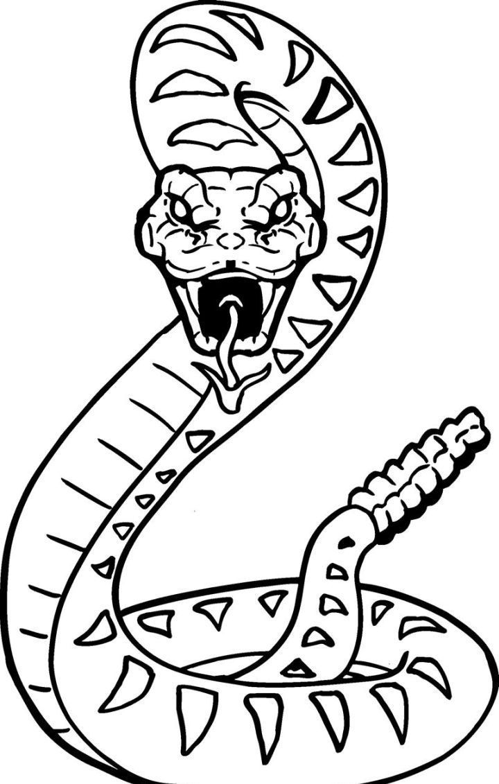 Cool Snakes Coloring Pages Coloring Nation