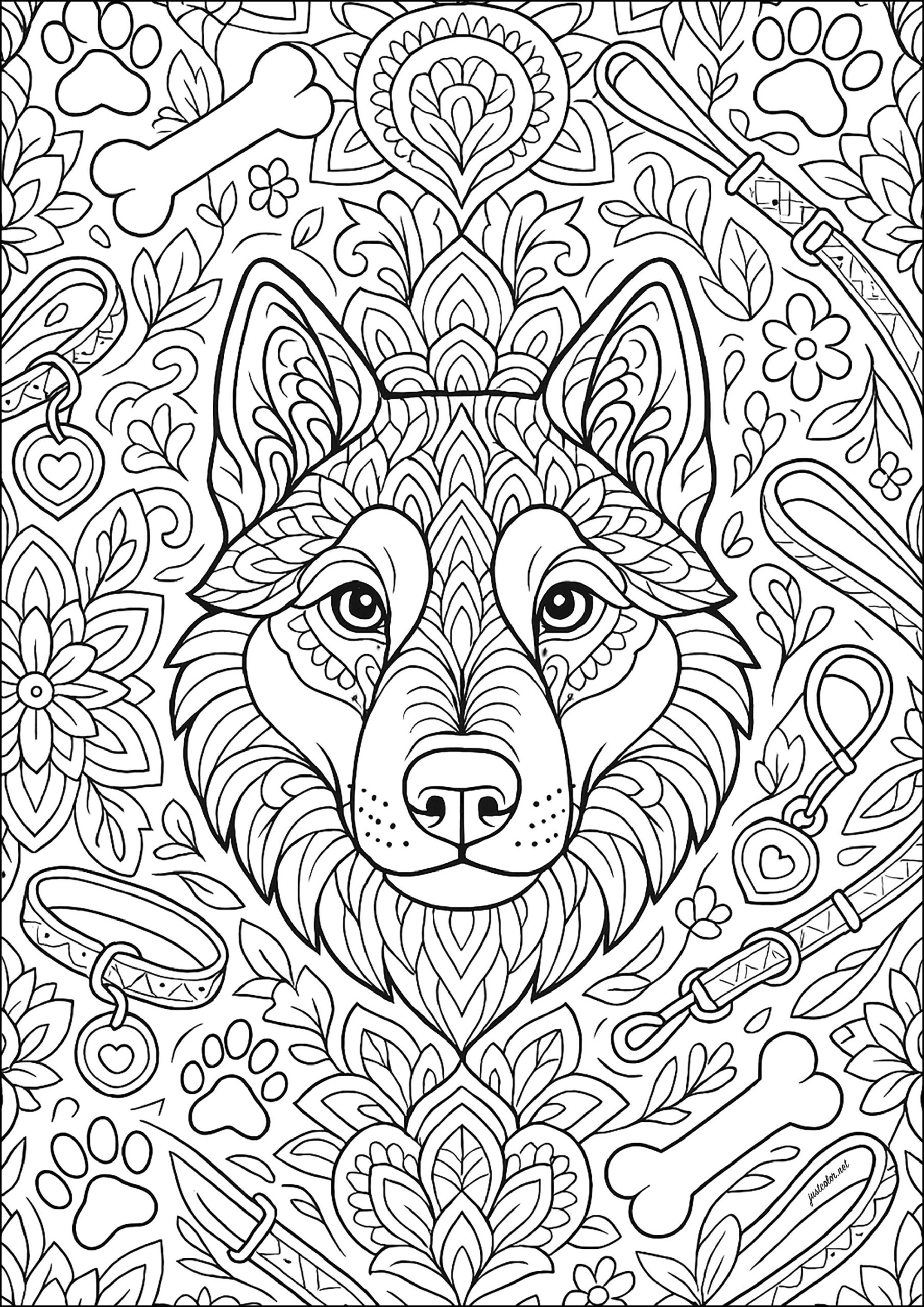 Adult Coloring Pages Printable Animals