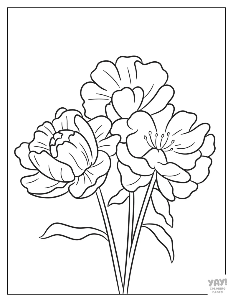 flower coloring pages free printables