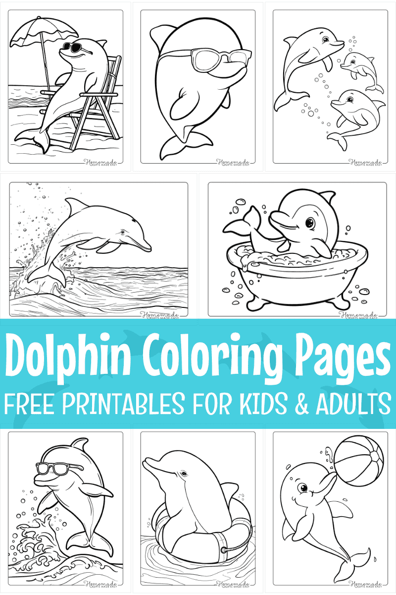 Dolphin Coloring Pages Free