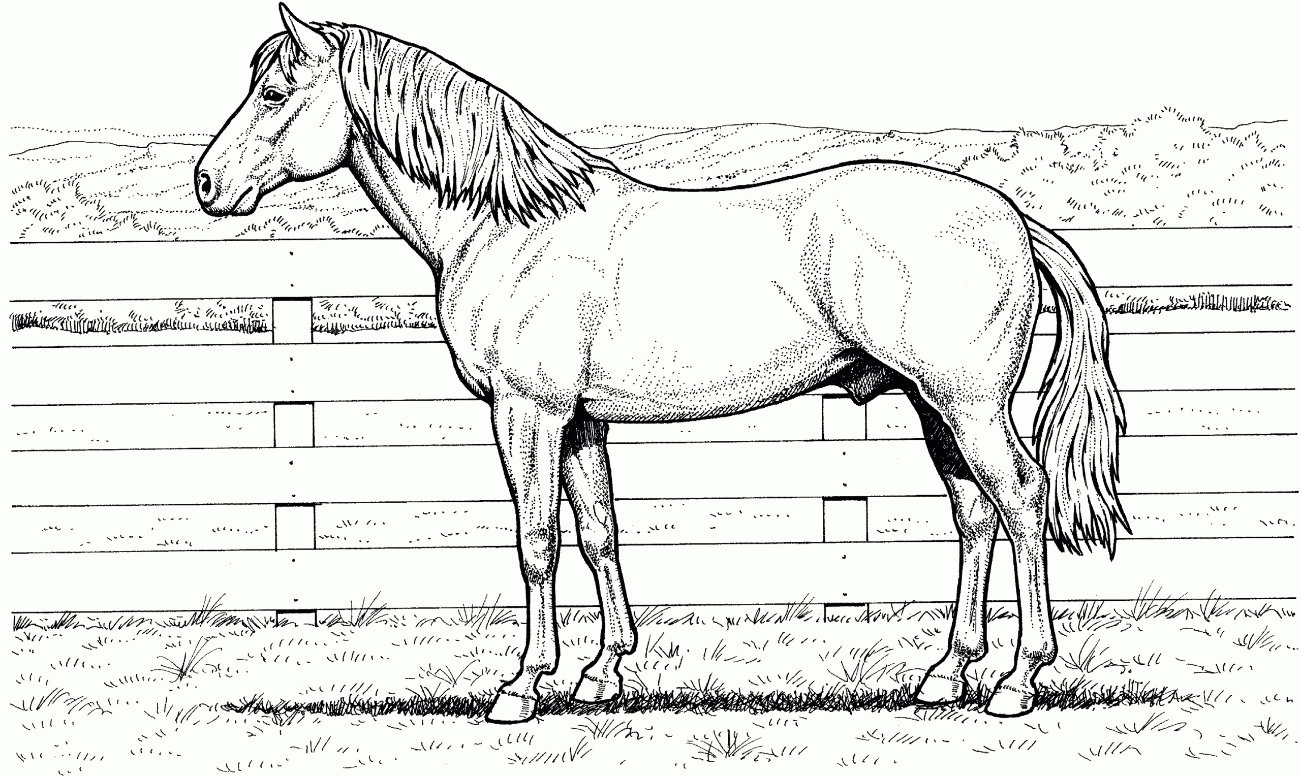 Horse Coloring Pages Printable Free