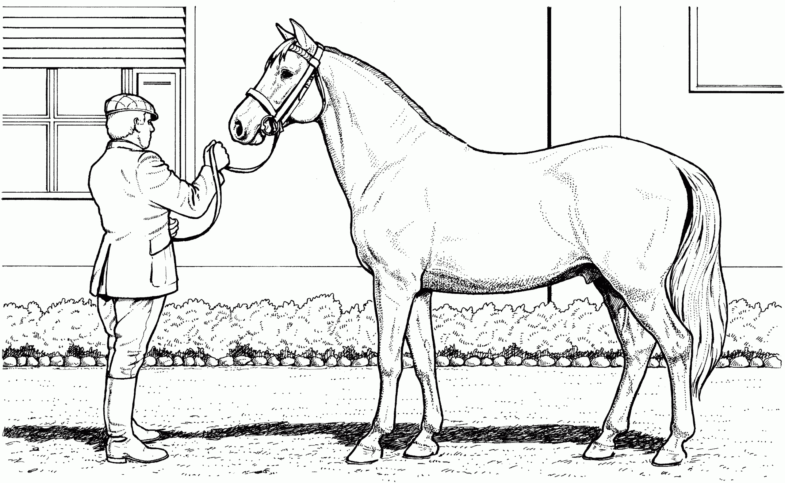 Free Coloring Pages Of Horses