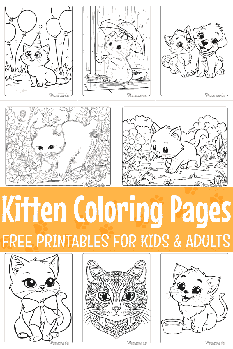 Free Kitten Coloring Pages