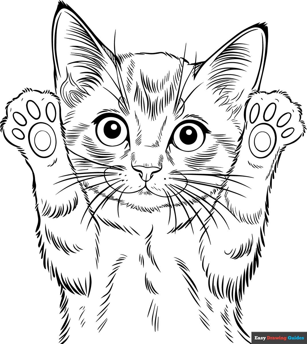 Kitten Coloring Pages Free Printable