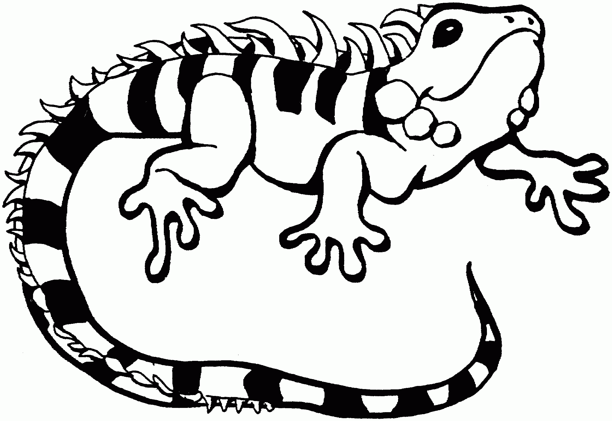 Printable Lizard Coloring Pages