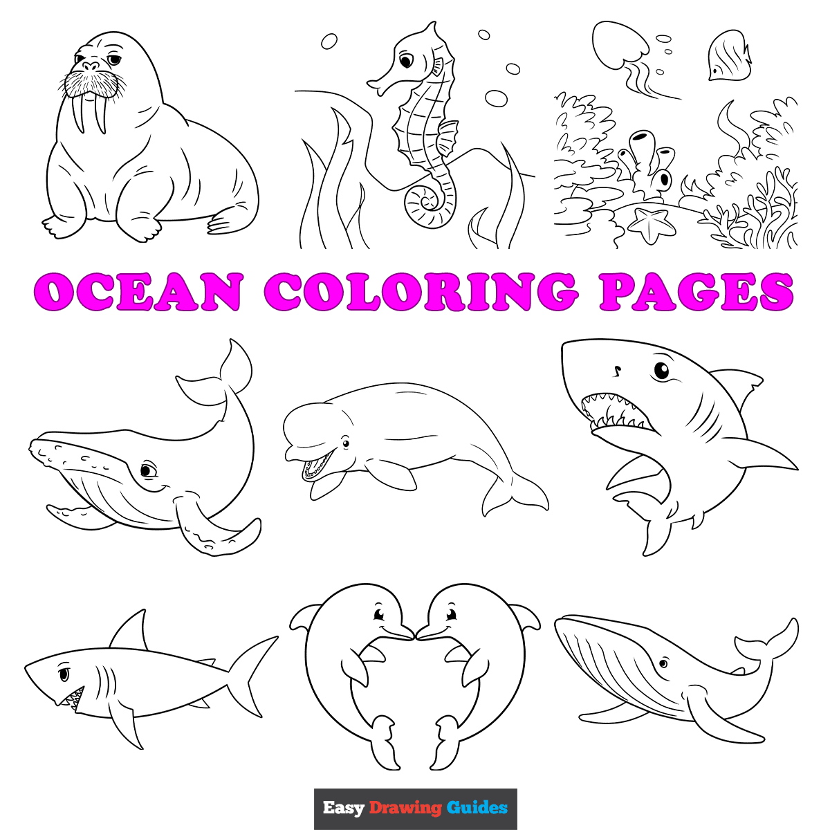 Free Printable Sea Life Ocean Animals Coloring Pages