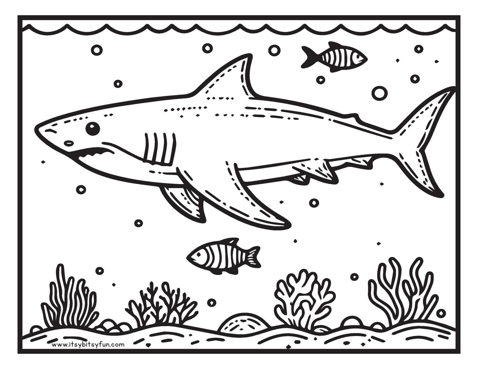 Printable Shark Coloring Pages