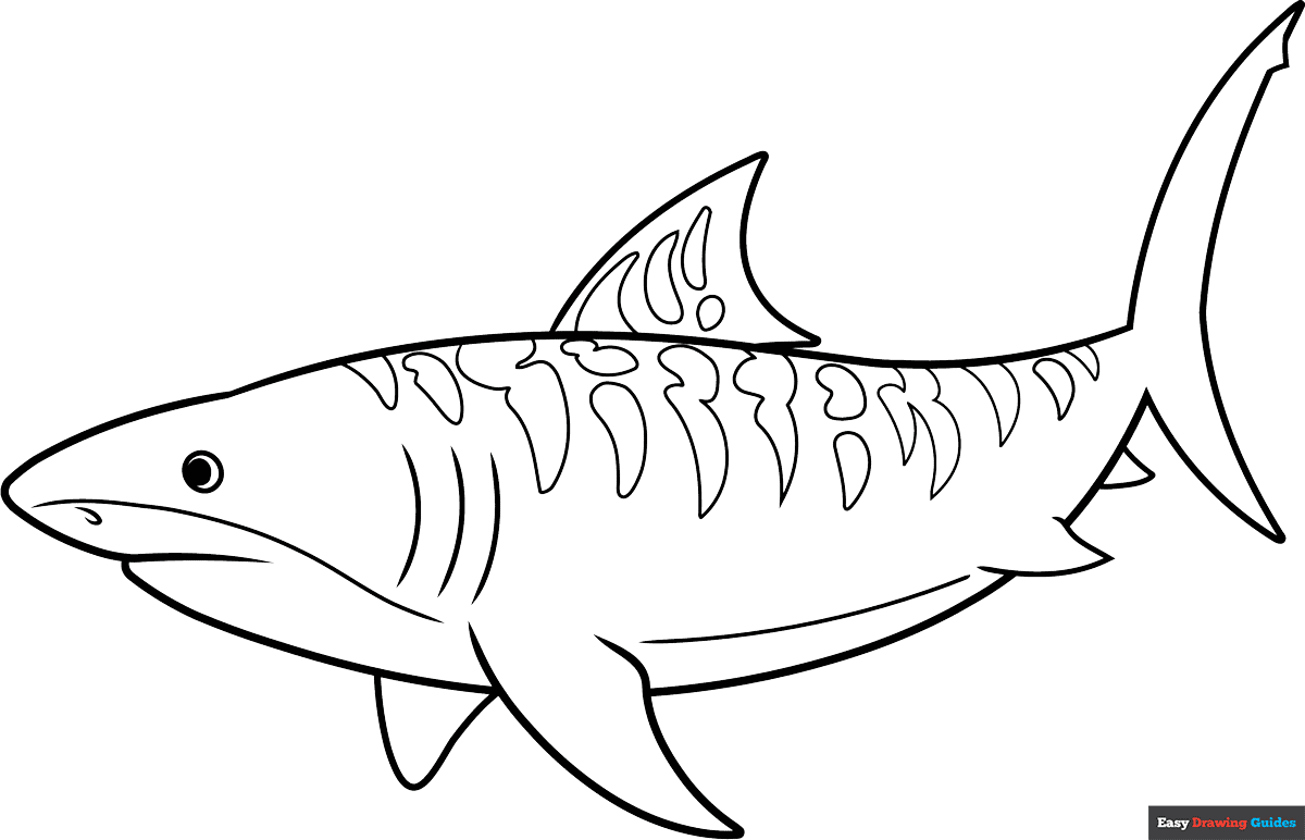 Free Shark Coloring Pages Printable