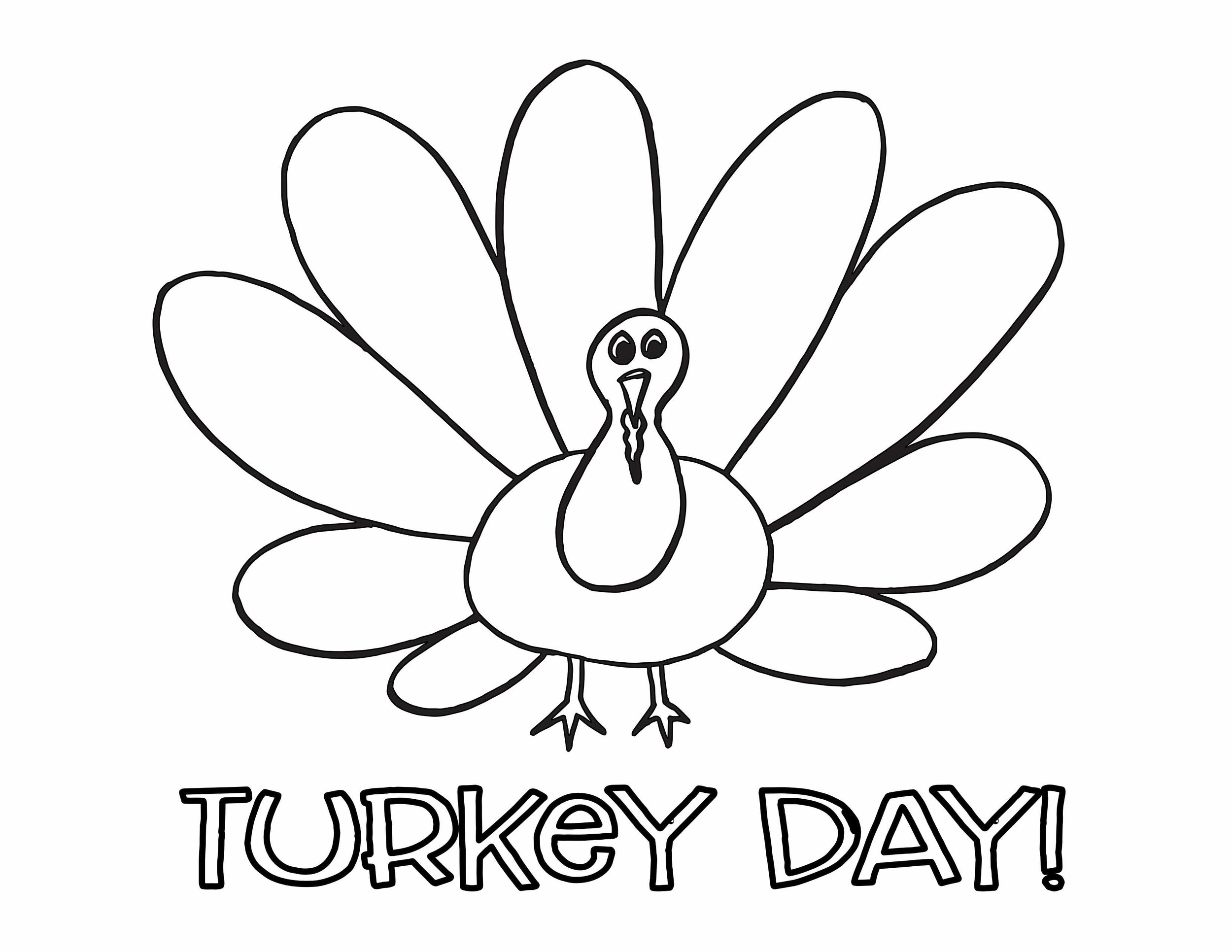 Free Turkey Coloring Pages Stevie Doodles