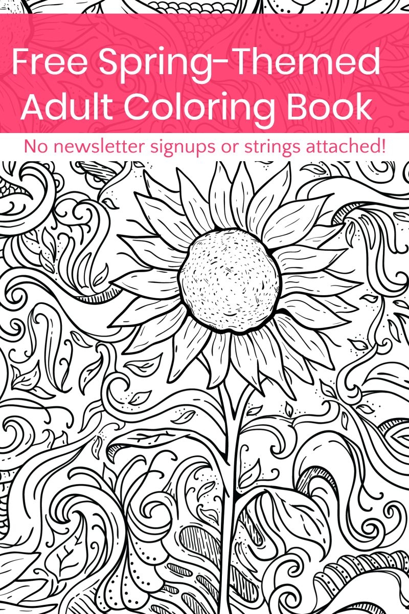 Adult Coloring Book Pages Printable
