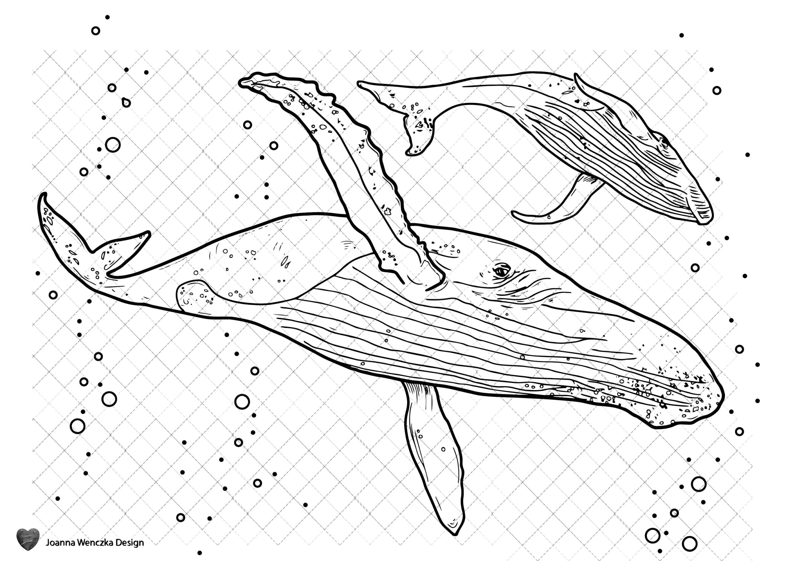 Humpback Whales Colouring Page Printable Coloring Page For Adults Children Instant Download Whale Coloring Page Whale Coloring Sheet Print Etsy