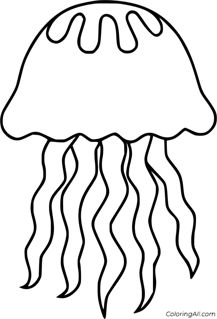 Jellyfish Coloring Pages