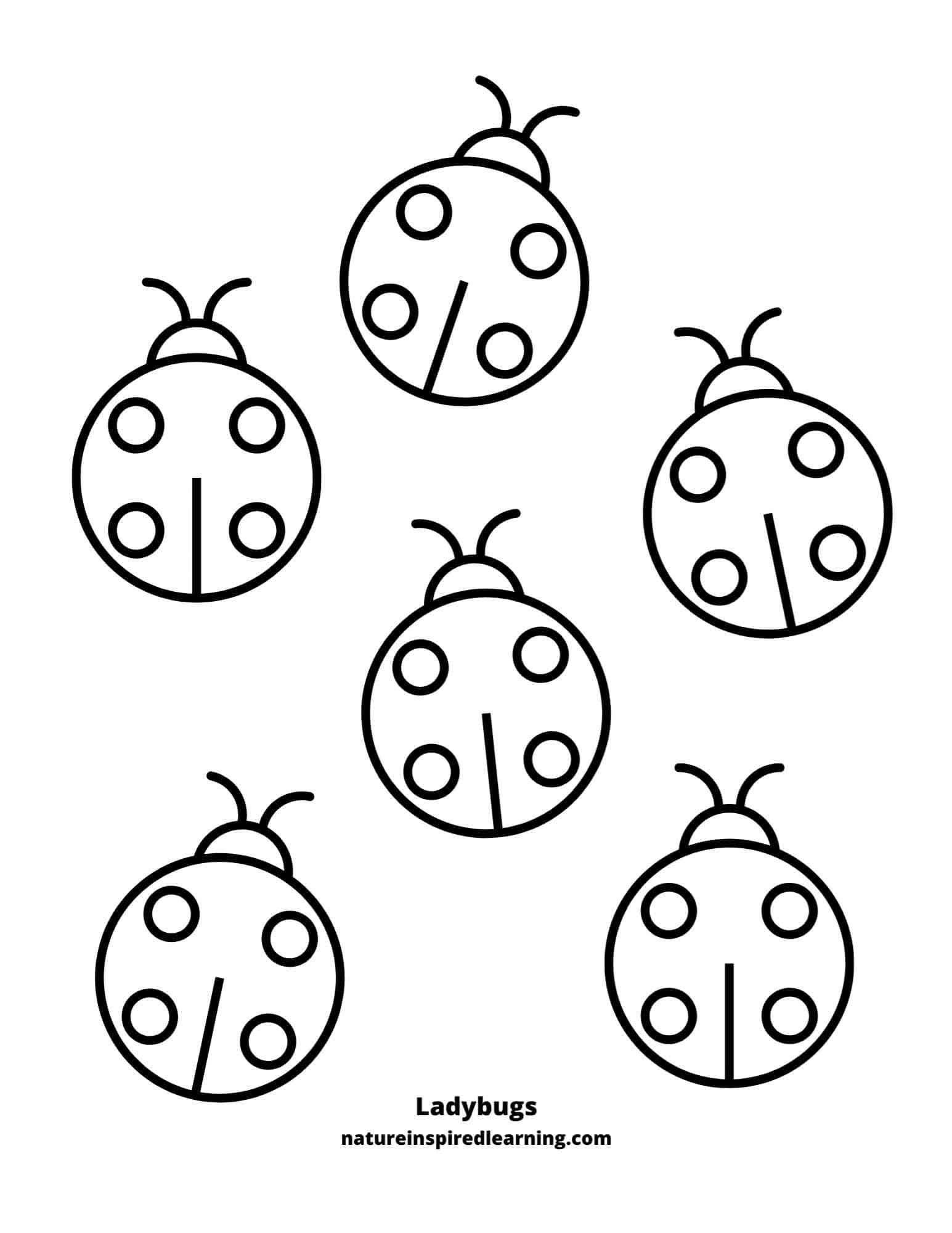 Ladybug Printable Coloring Pages