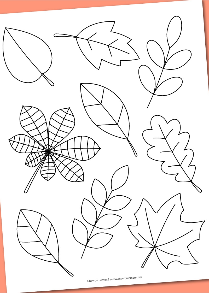 Leaves Coloring Pages Printable