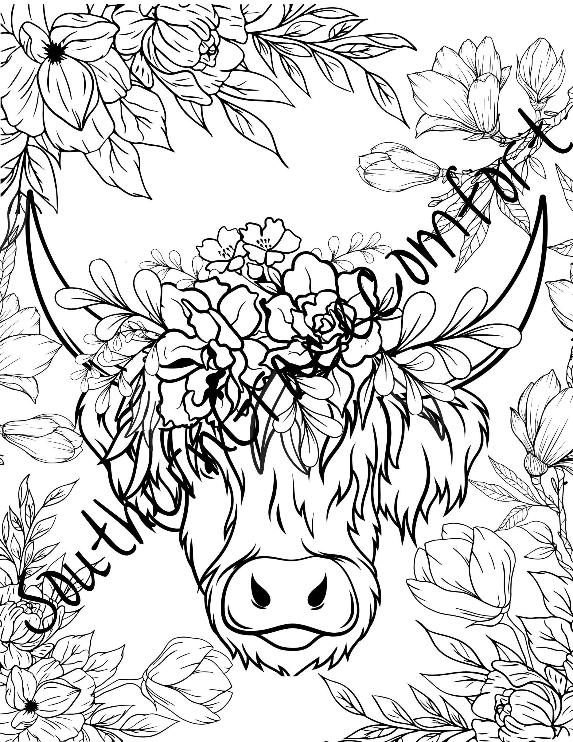 Printable Highlander Cow Coloring Sheet Floral Cow Coloring Page Etsy