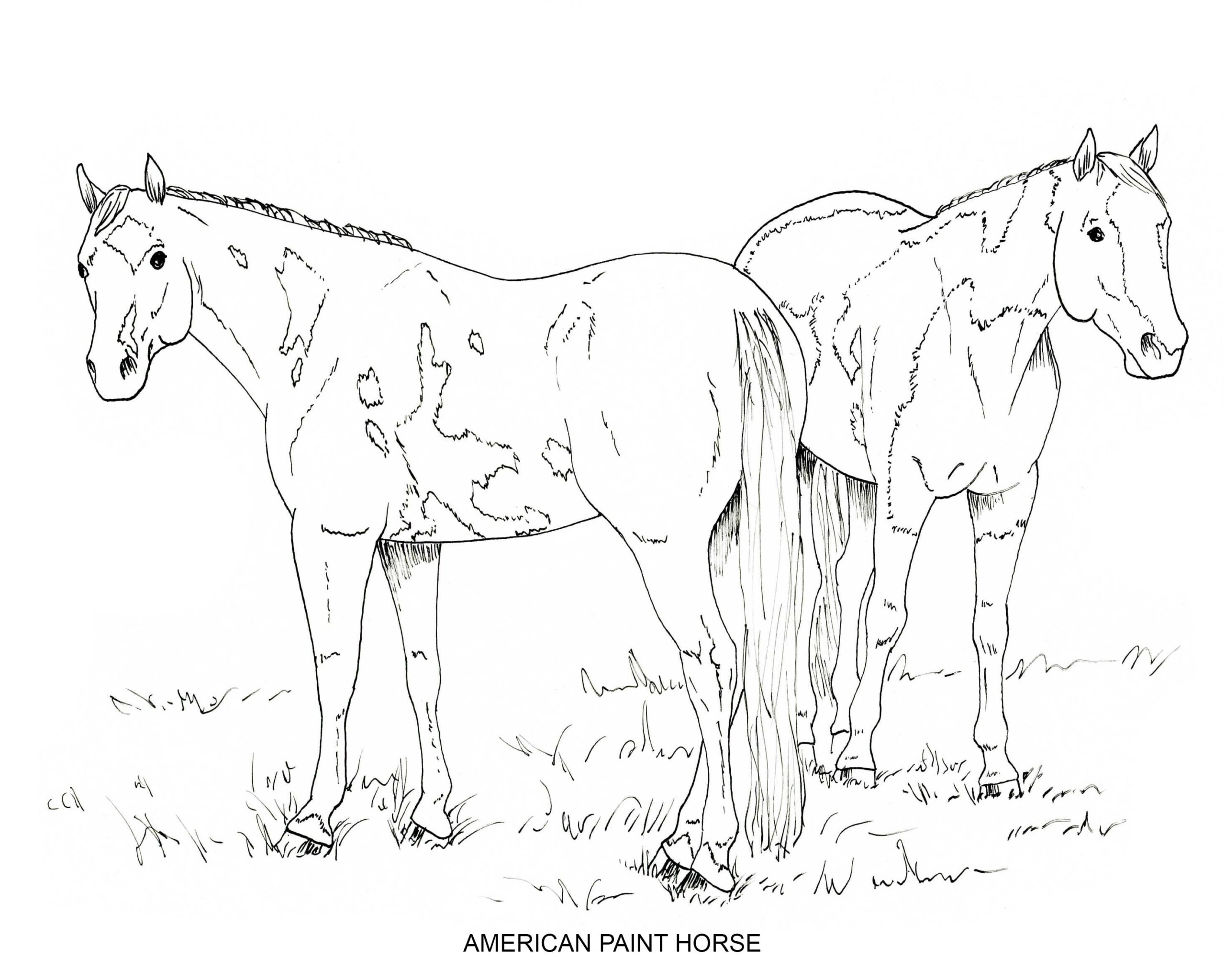 Printable Horse Coloring Page