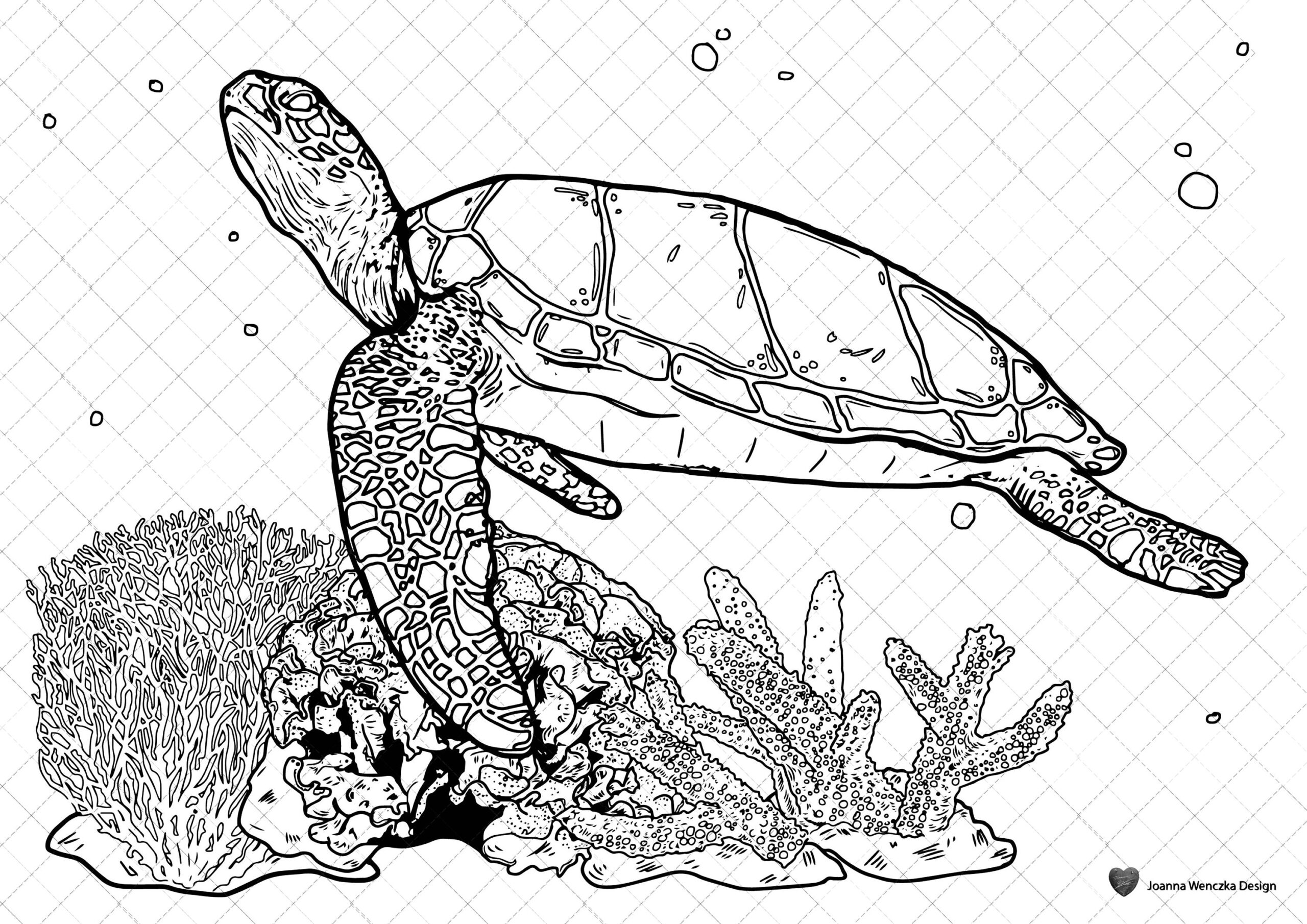 Sea Turtle Colouring Page Printable Coloring Page For Adults Children Instant Download Turtle Coloring Page Sea Turtle Coloring Sheet Etsy